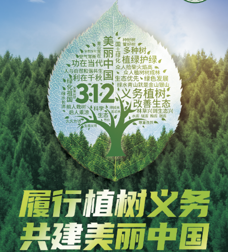 国土绿化为美丽中国建设再添新绿